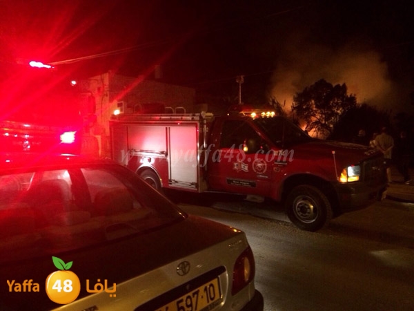 fire 3arisha3 (4).JPG